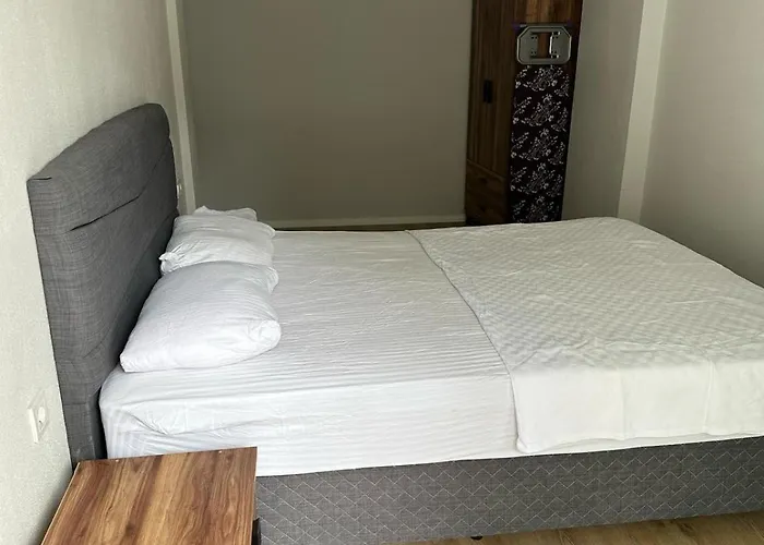 Alkaya アパート フェティエ